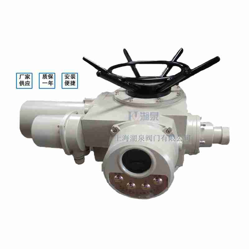閥門電動(dòng)裝置（dzw05,10,20，30,45,60，90,12