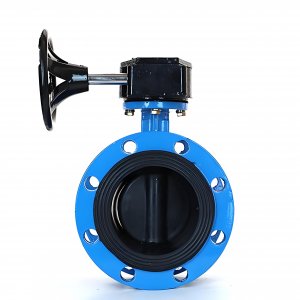 法蘭式蝸輪蝸桿蝶閥DN125，1.6Mpa橡膠密封